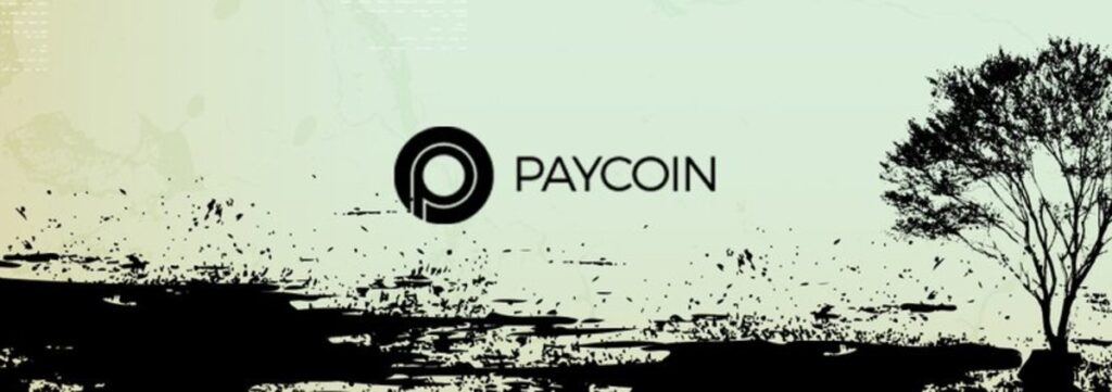 Image of PayCoin
