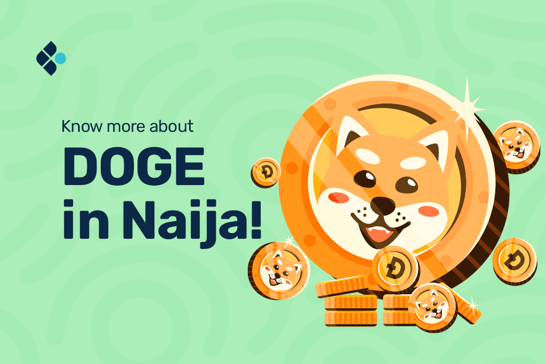 The Complete Guide To Dogecoin Wallets In Nigeria